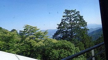 p5310026_thumb.jpg