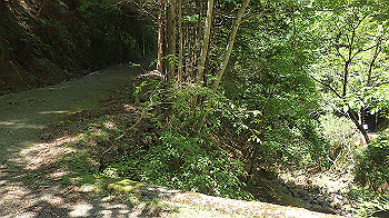 p5310029_thumb.jpg
