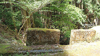 p5310035_thumb.jpg