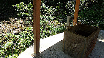 p5310042_thumb.jpg