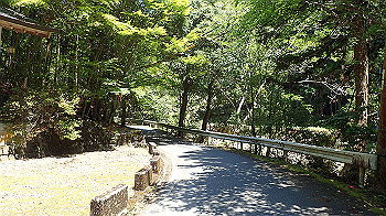 p5310045_thumb.jpg