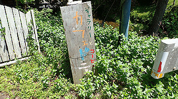 p5310049_thumb.jpg