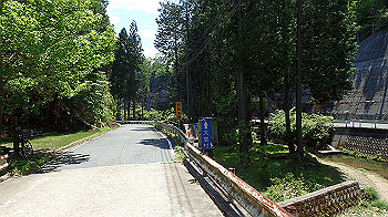 p5310050_thumb.jpg