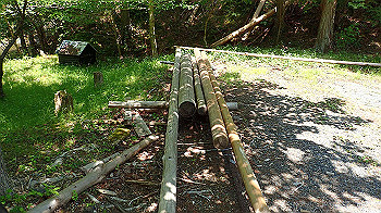 p5310054_thumb.jpg