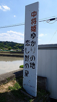 p5310056_thumb.jpg