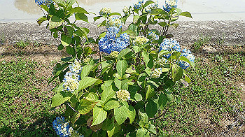 p5310057_thumb.jpg