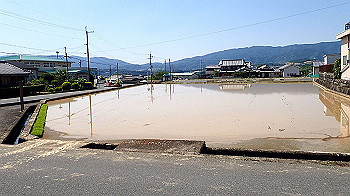 p5310059_thumb.jpg