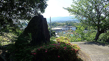p5310062_thumb.jpg