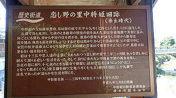 p5310066_thumb.jpg