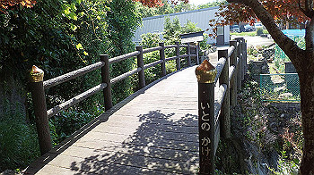 p5310068_thumb.jpg