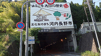 p5310083_thumb.jpg