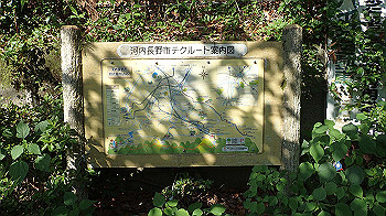 p5310087_thumb.jpg