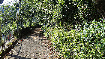 p5310088_thumb.jpg