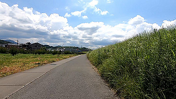 gx011971.mp4_snapshot_00.15_thumb.jpg
