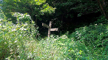 gx011975.mp4_snapshot_00.51_thumb.jpg