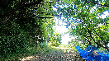 gx011976.mp4_snapshot_00.49_thumb.jpg
