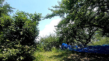gx011976.mp4_snapshot_01.05_thumb.jpg
