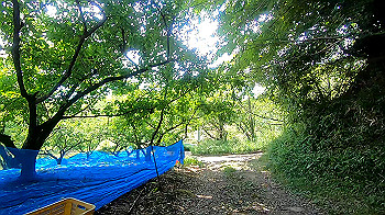 gx011977.mp4_snapshot_00.00_thumb.jpg