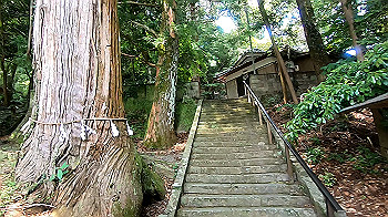 gx011980.mp4_snapshot_00.31_thumb.jpg