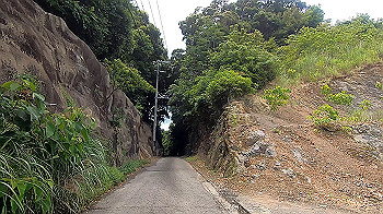 gx011983.mp4_snapshot_00.22_thumb.jpg