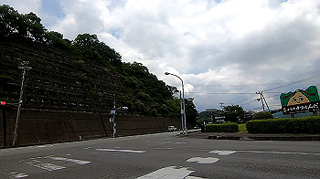 gx011985.mp4_snapshot_00.44_thumb.jpg