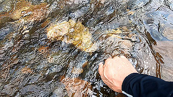 gx011990.mp4_snapshot_00.44_thumb.jpg
