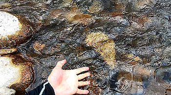 gx011990.mp4_snapshot_00.50_thumb.jpg