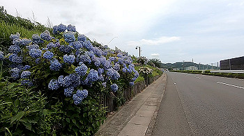 gx012001.mp4_snapshot_00.25_thumb.jpg