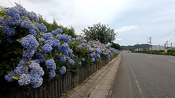 gx012001.mp4_snapshot_00.34_thumb.jpg