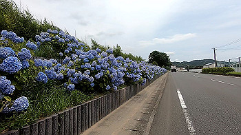 gx012001.mp4_snapshot_00.42_thumb.jpg