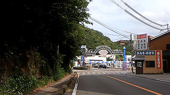 gx012024.mp4_snapshot_00.44_thumb.jpg