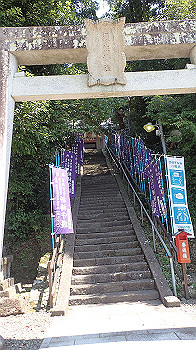 p6150016_thumb.jpg