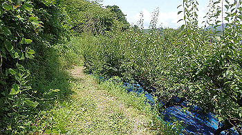 p6150025_thumb.jpg