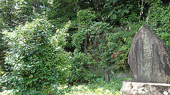 p6150026_thumb.jpg