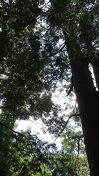 p6150036_thumb.jpg