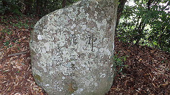 p6150037_thumb.jpg