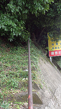 p6150071_thumb.jpg