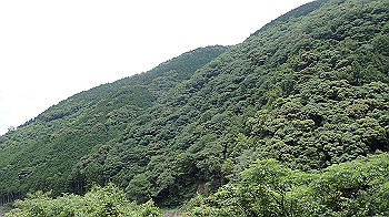 p6150095_thumb.jpg