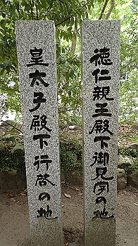 p6150117_thumb.jpg