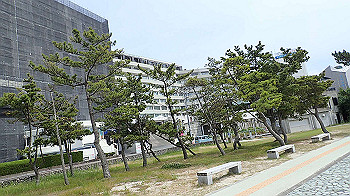 p6150159_thumb.jpg