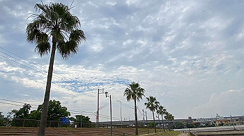 20210622_060606511_ios_thumb.jpg