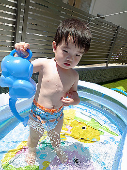 dsc_3804_thumb.jpg