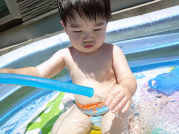 dsc_3817_thumb.jpg