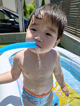 dsc_3819_thumb.jpg