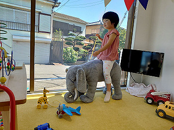 dsc_3952_thumb.jpg