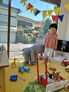 dsc_3955_thumb.jpg