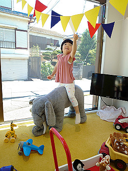 dsc_3956_thumb.jpg