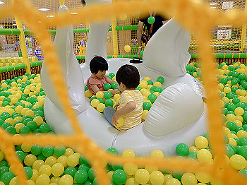 dsc_3969_thumb.jpg