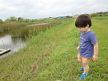 dsc_4112_thumb.jpg