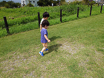 dsc_4114_thumb.jpg